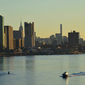 DSC_7346.jpg